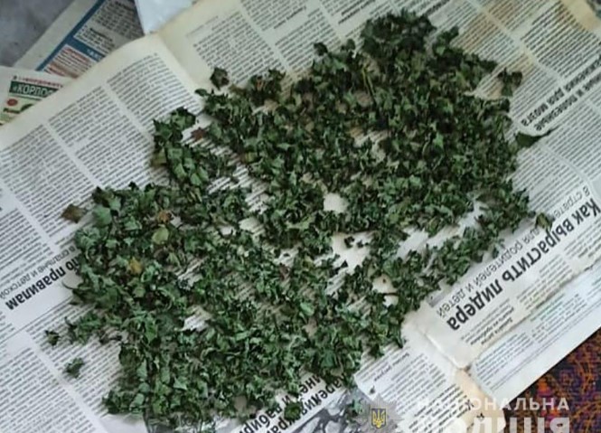 Бердянск марихуана купить фотография конопля