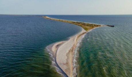 Екологічна катастрофа Азовського моря: як окупація та солоність знищили традиційну рибу й породили засилля безхребетних 26 Screenshot 56 16