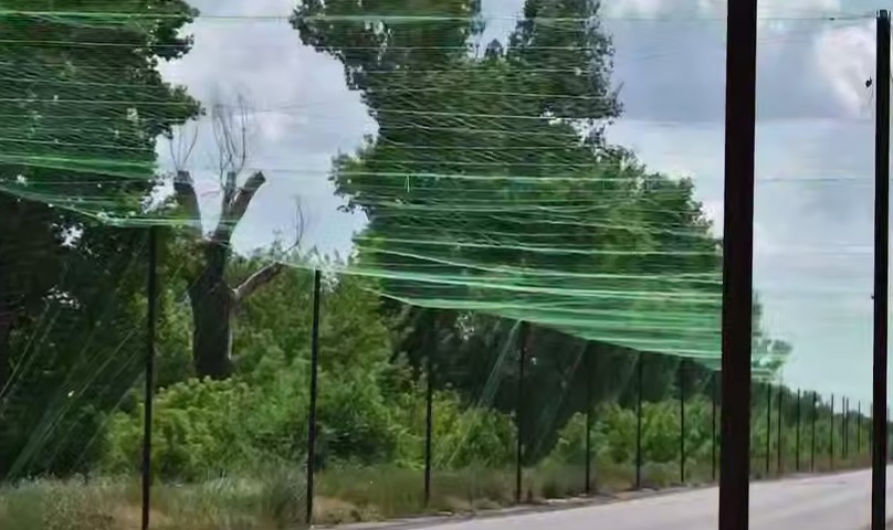 Screenshot 25