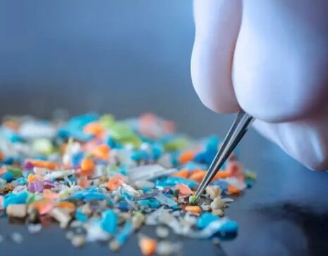 mikroplastik