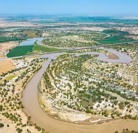 pustina kitay ozelenenie