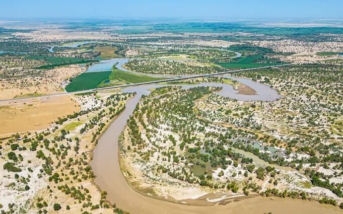 pustina kitay ozelenenie