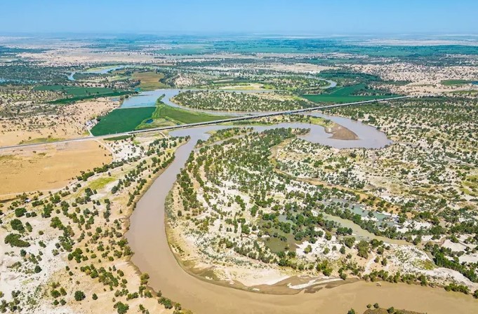 Велика зелена стіна: як «Море смерті» у Китаї перетворили на гігантський поглинач CO₂ 1 pustina kitay ozelenenie