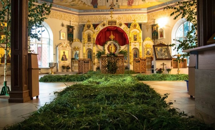 Трійця 2026: які трави приносять добробут і що не можна робити на Зелені свята 1 troica
