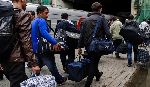 Міфи проти статистики: у Міграційній службі пояснили ситуацію з трудовими мігрантами в Україні 1 trudovie migranti