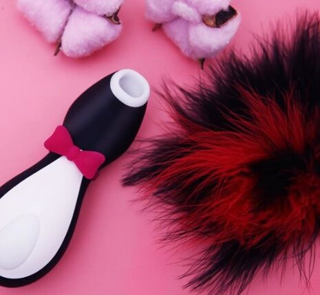 vibrator