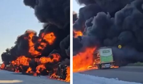 Українські дрони знищили російську колону на ТОТ Запорізької області 27 3