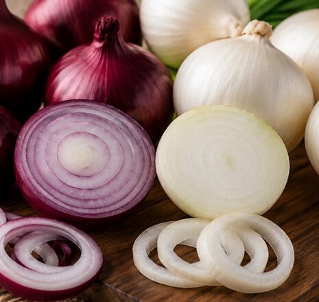 cibula