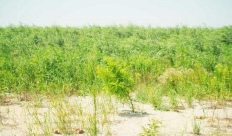 Росія намагається використати дно Каховського водосховища для наближення до Запоріжжя 27 kahovka