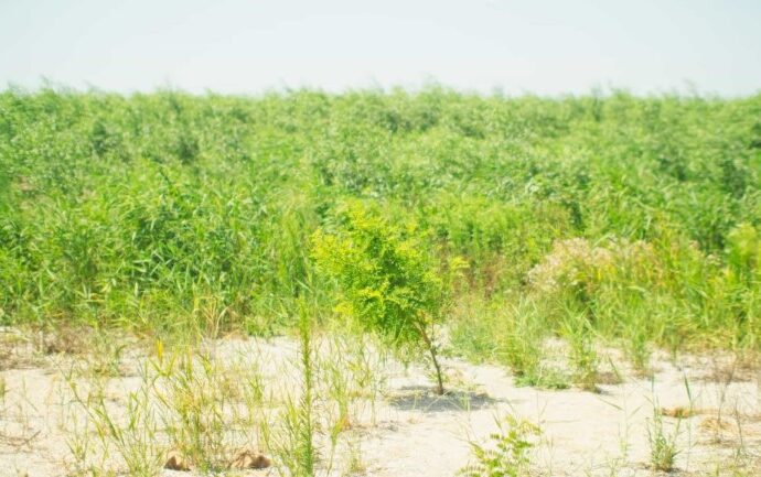 Росія намагається використати дно Каховського водосховища для наближення до Запоріжжя 2 kahovka